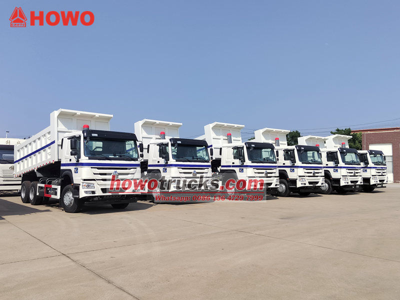 20 дана Sinotruk HOWO 6x4 самосвалы