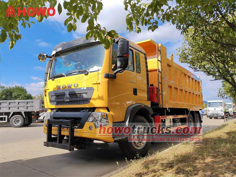 Howo TX Road Salt Spreader Snow Melting Machine