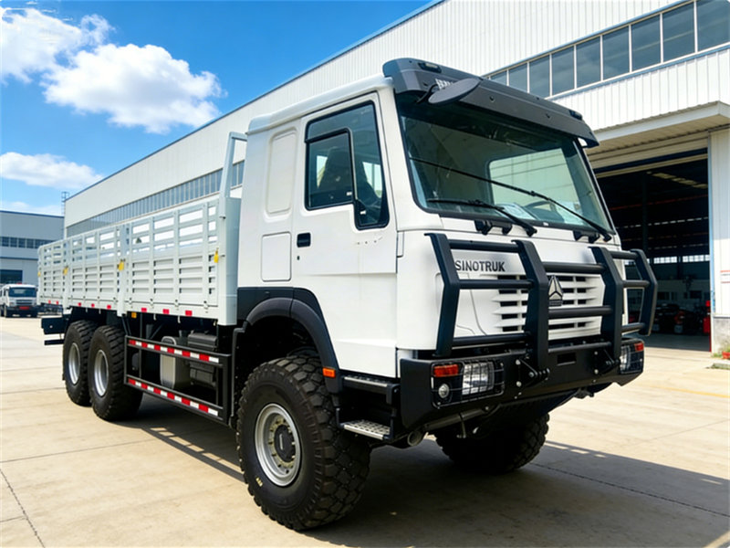 Howo off road 20tons cargo truck