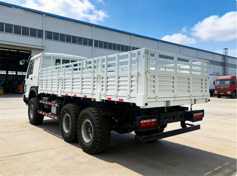 Howo off road 20tons cargo truck